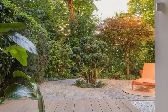 Enchanting Zen Atmosphere