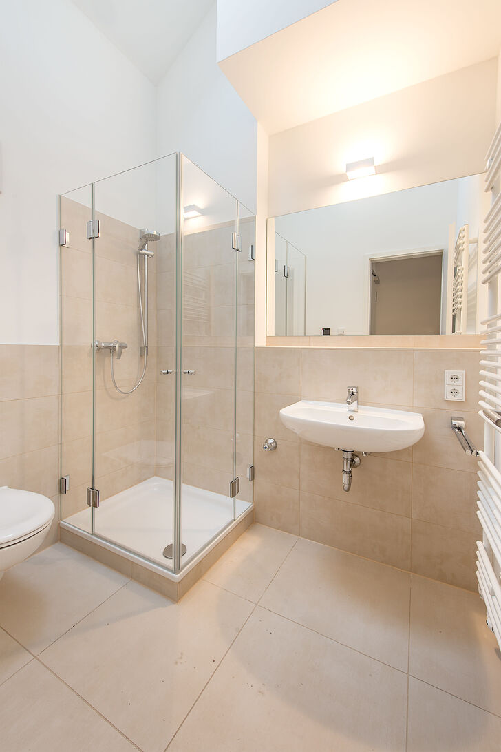 Bathroom in the in-law unit