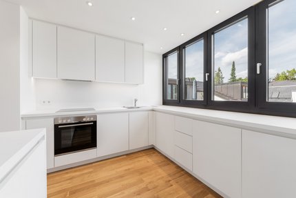 Moderne Schreiner-Küche