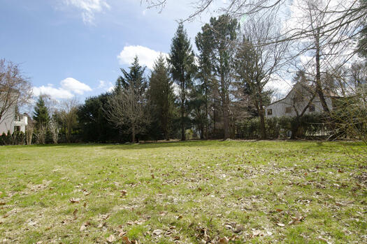 Extensive garden