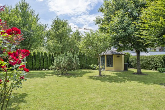 Wonderfully overgrown south garden