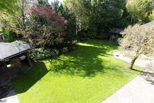 Park-like southwest garden