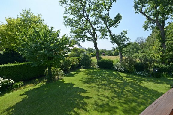 View into the sunny south-west garden