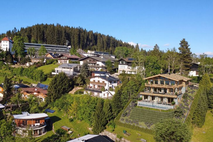 Chalet Complex in the Landscape (Rendering)