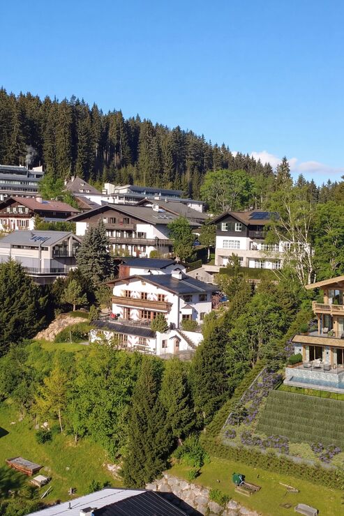 Chalet Complex in the Landscape (Rendering)