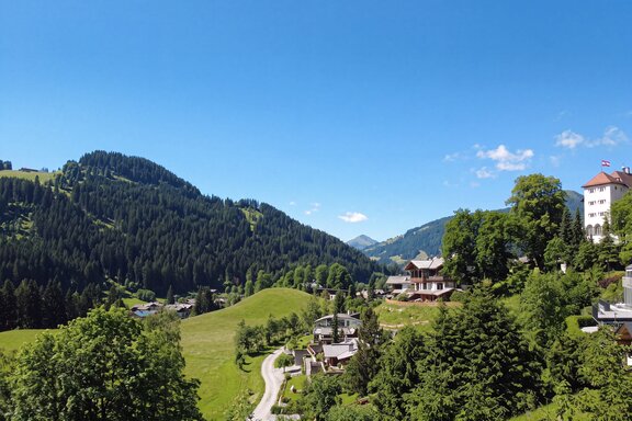 Ausblick in die alpine Natur