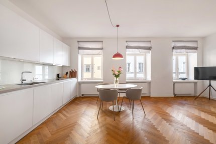 Puristische Einbauküche