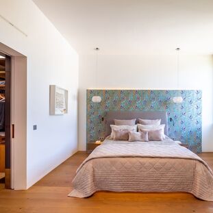 Master suite with walk-in closet and terrace