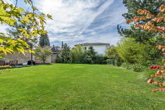 Spacious sunny garden