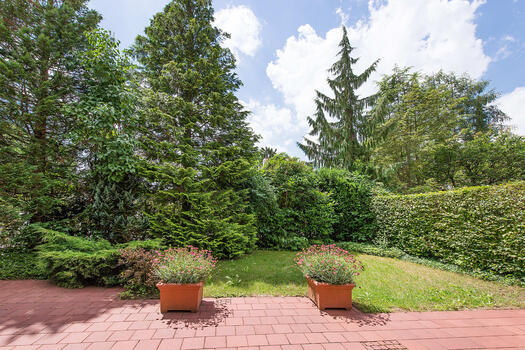 Wonderfully overgrown garden
