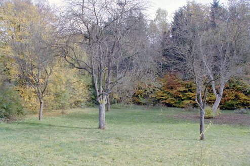 Attractive building plot of 1,200 m² in Gräfelfing