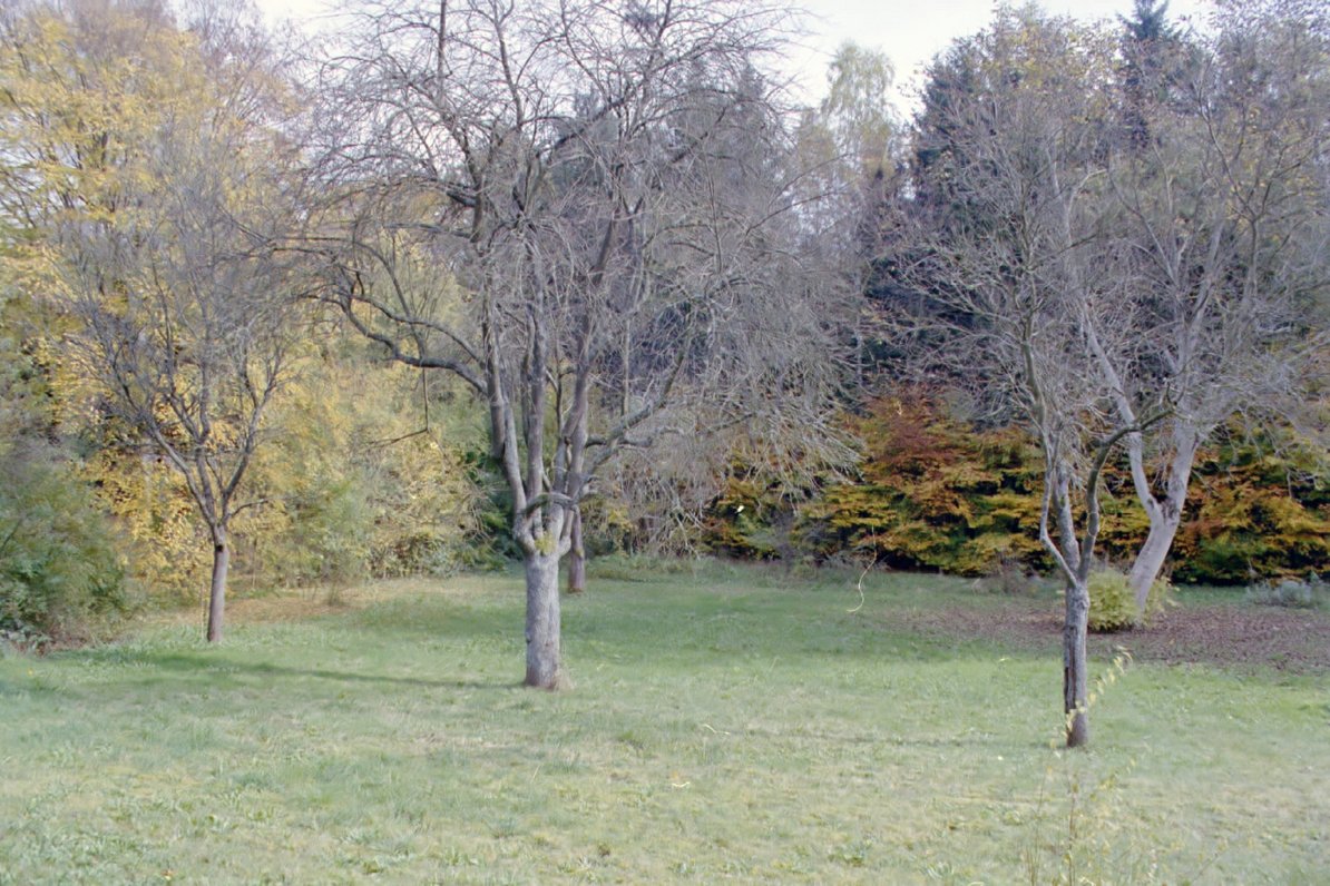Grundstück