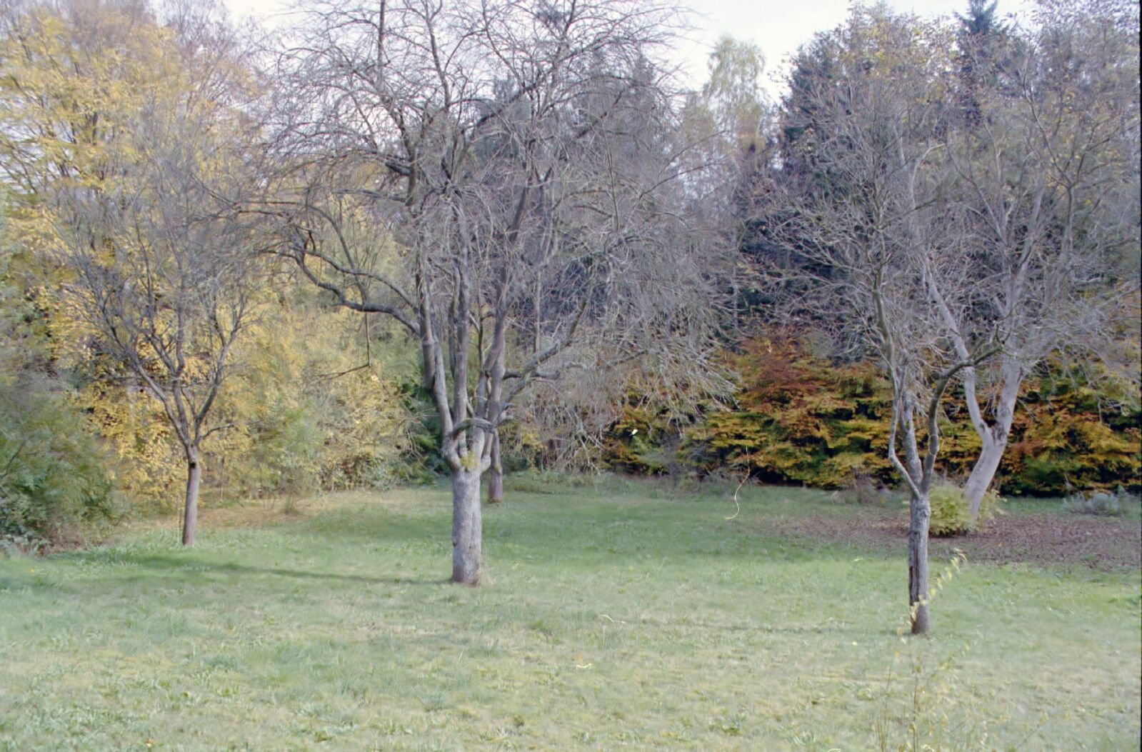Grundstück