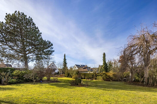 Extensive property