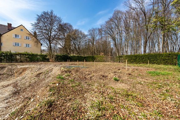 Blick nach Westen vom Grundstück aus