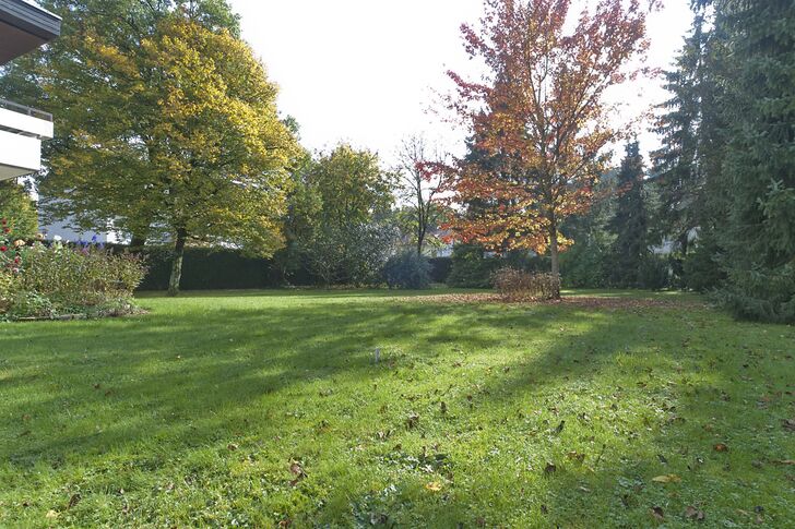 sonniger Garten
