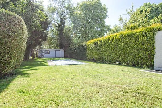 Sunny south-east garden