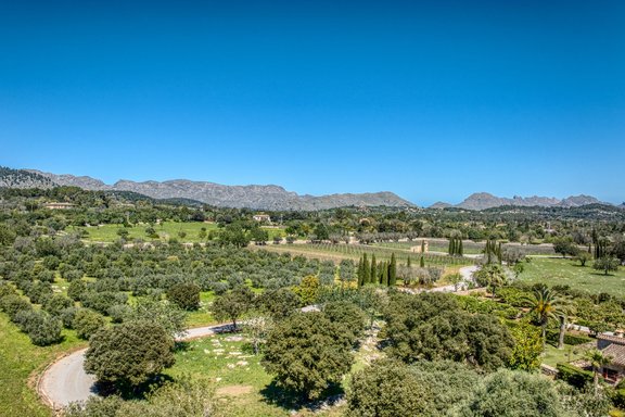 Weingut zu Füssen der Tramuntana
