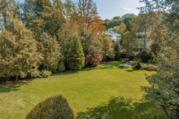 Parkgrundstück mit ...