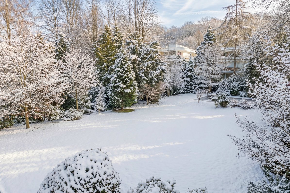 Park property with ...