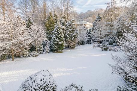 Building in the finest Herzogpark: Park plot with high privacy and approved villa planning