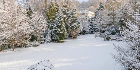 Building in the finest Herzogpark: Park plot with high privacy and approved villa planning