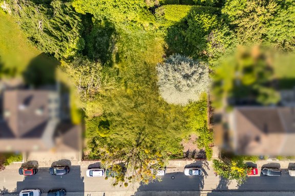 Idyllic south/west-facing plot