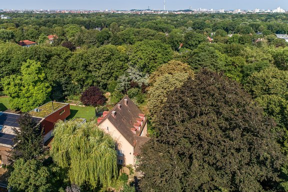 View towards the Olympic Tower