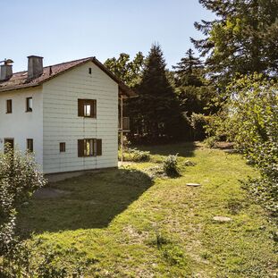 Gartenflächen mit Baumbestand