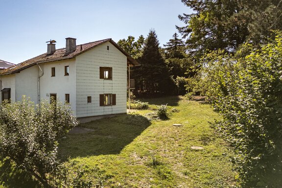 Garden Areas with Trees