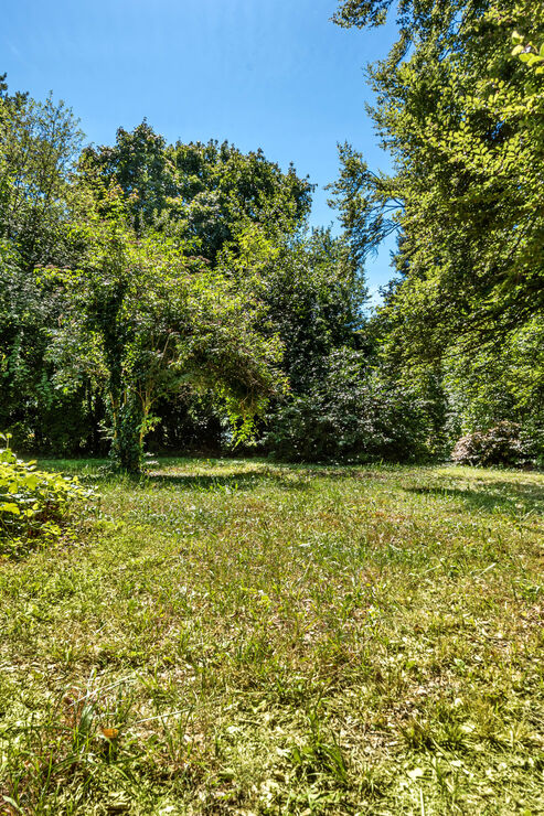 Uneinsehbarer Südgarten