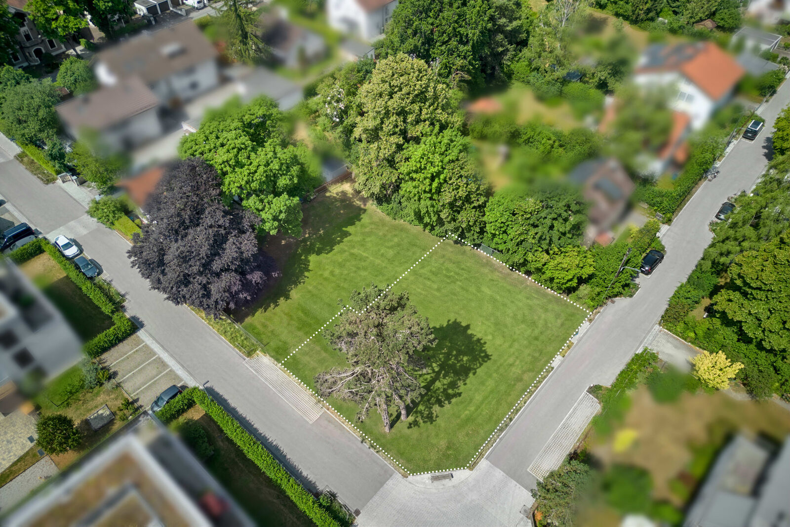 619 m² Grundstücksfläche