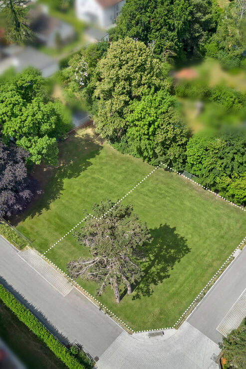 619 m² Grundstücksfläche