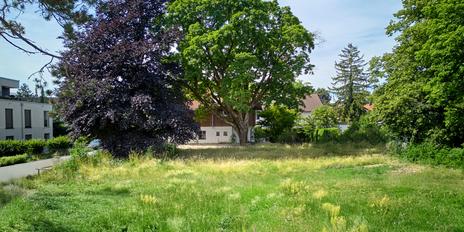 Baugrundstück mit genehmigtem Entwurf für ein modernes Einfamilienhaus