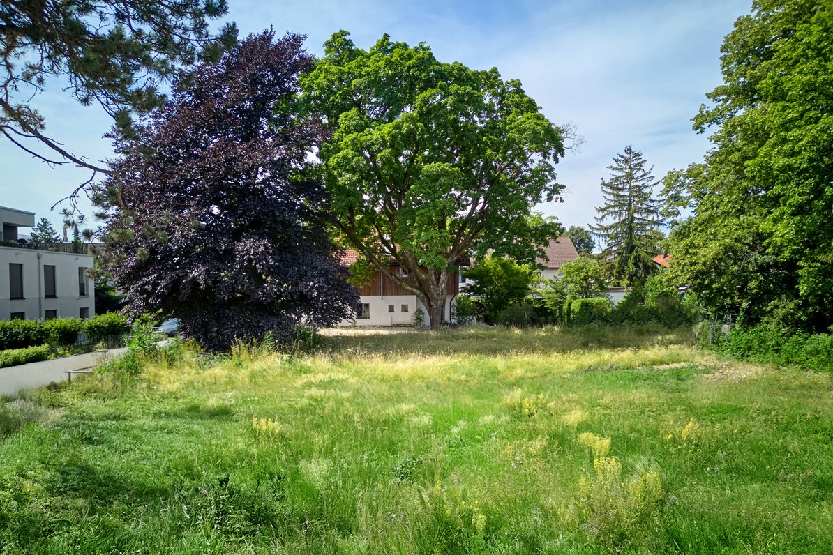 Grünes und ruhiges Umfeld