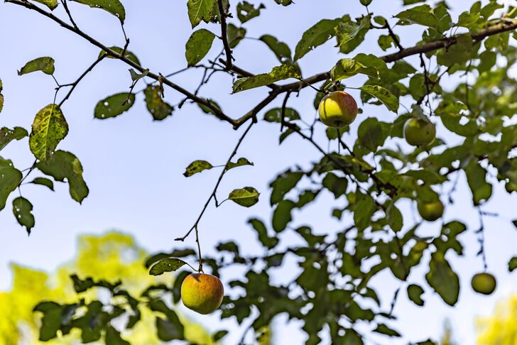 Naturnahes Wohnumfeld