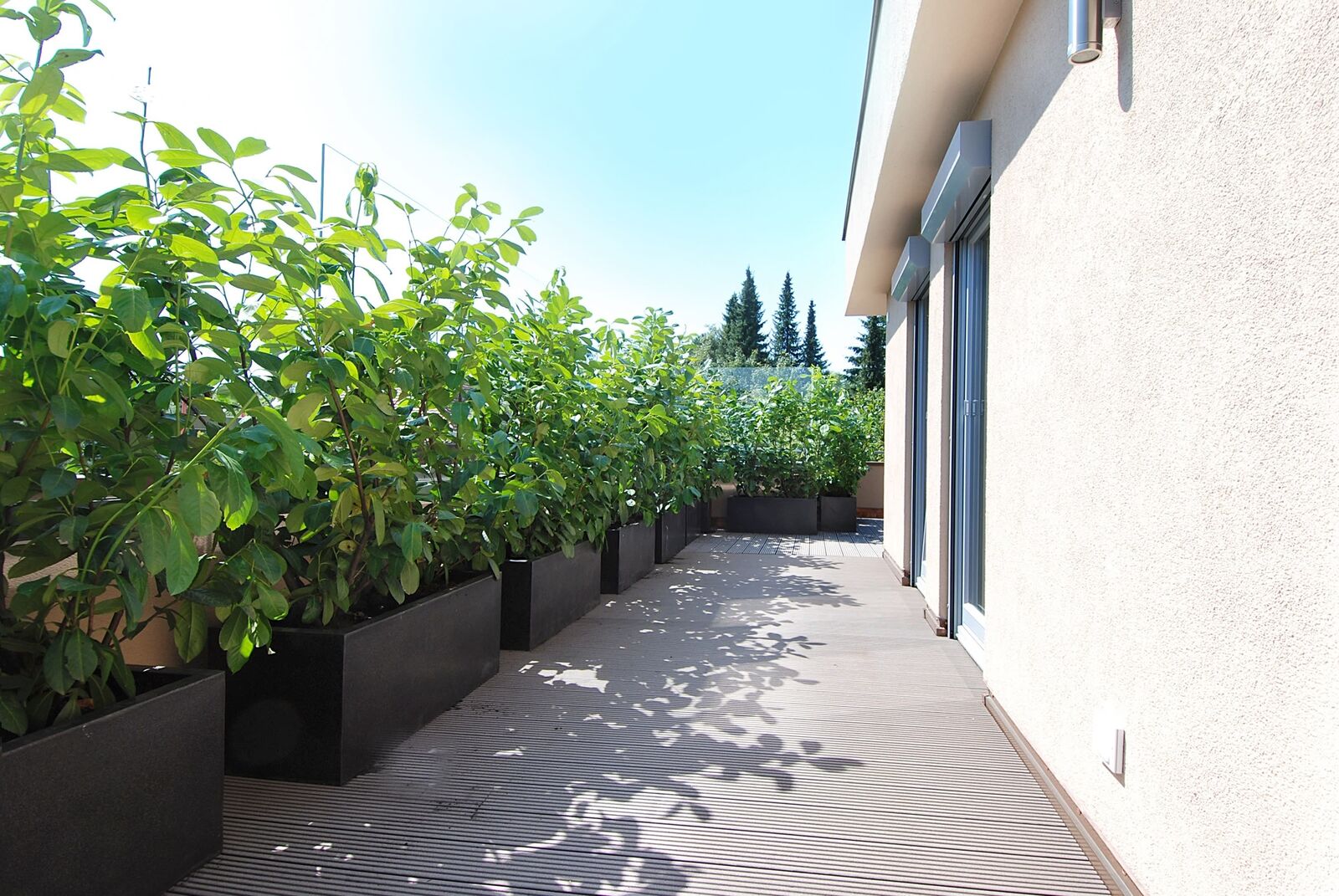 Dachterrasse