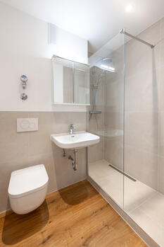 Stylishly renovated bathroom