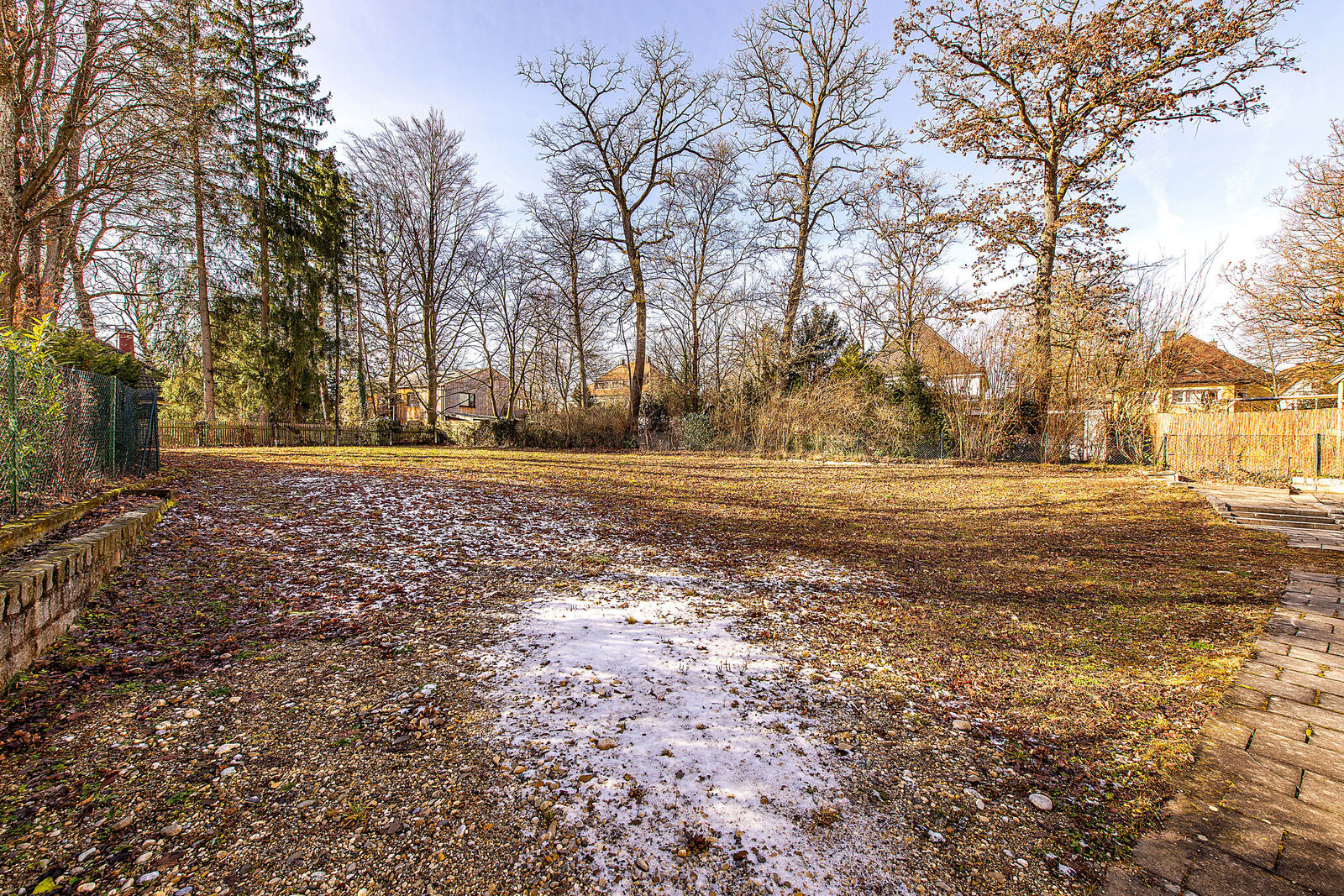 Prachtvoller Baumbestand der Nachbargärten