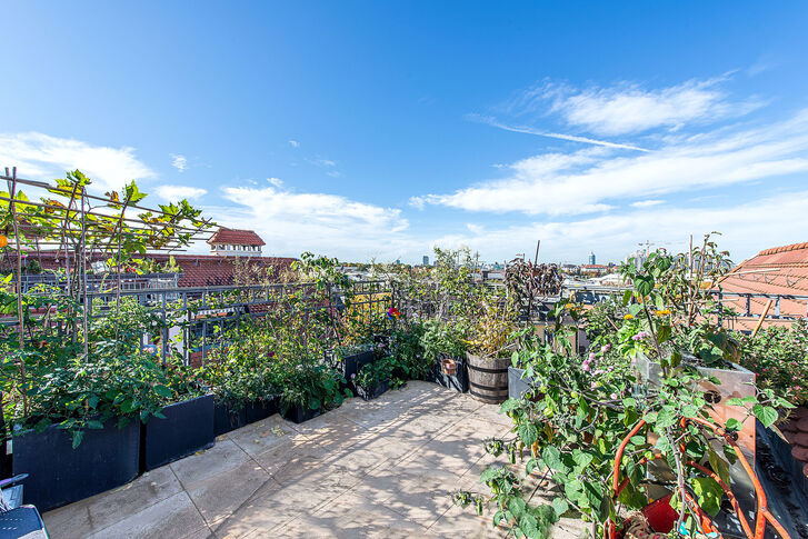 Dachterrasse