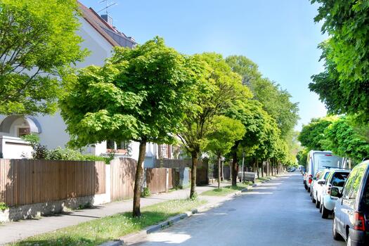Blick in die Straße