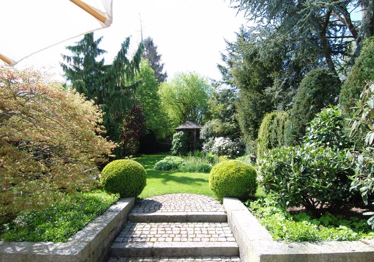 Blick in den Garten