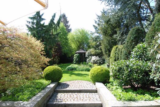 Blick in den Garten