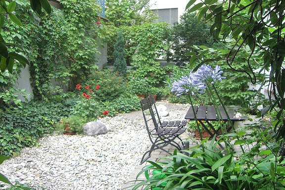 Beautifully grown inner courtyard