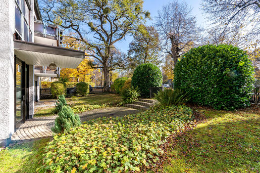 Private garden overgrown