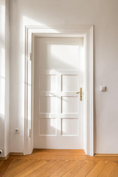 Historic panel doors