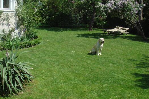 Garten