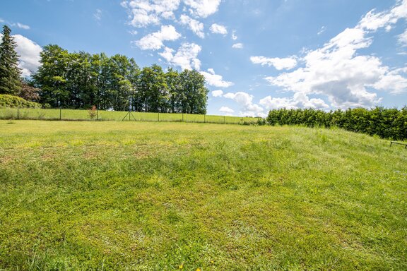 Weitläufiger Garten