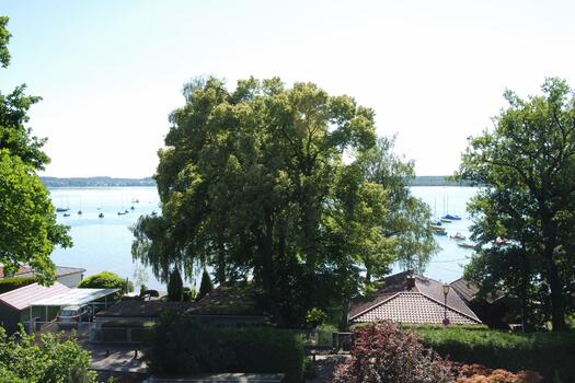 Lake view