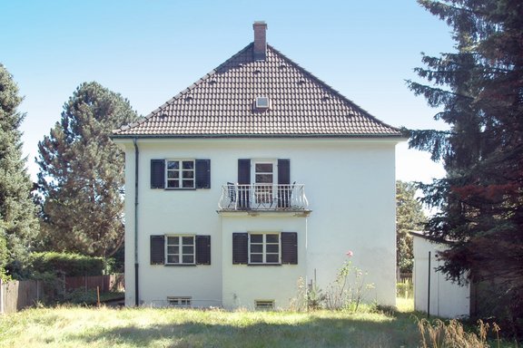 View from the garden